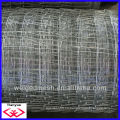 China Fábrica electro galvanizado / caliente zambullido galvanizado / PVC ganado cerca (fábrica) Calidad Elección